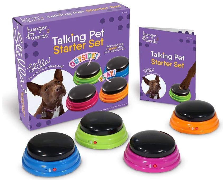 Hunger for Words Talking Pet Starter Set