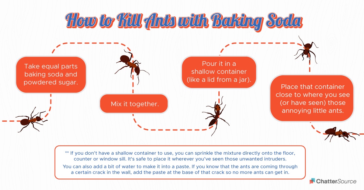 How to kill ants with baking soda infographic