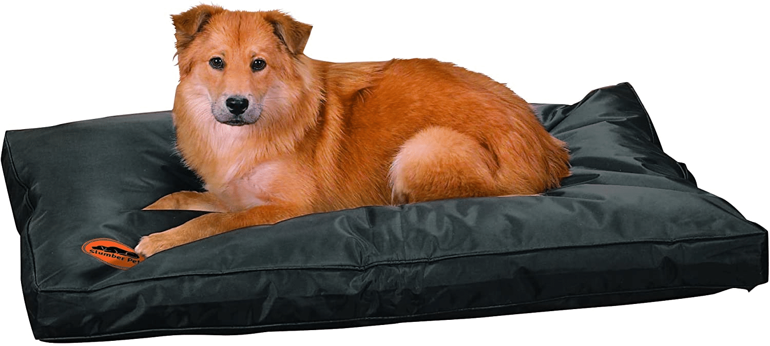 The 13 Best Indestructible Dog Beds For Your Toughest Canine