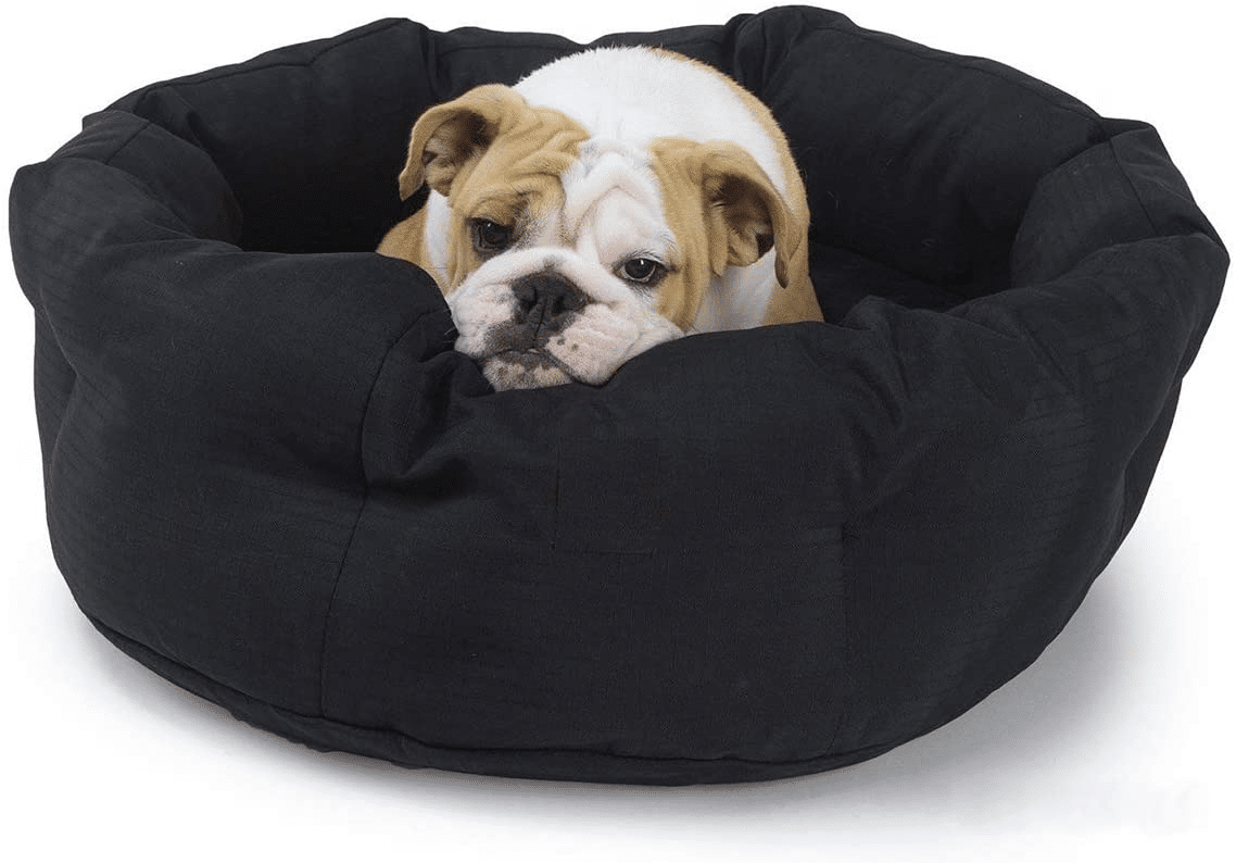 The 13 Best Indestructible Dog Beds For Your Toughest Canine