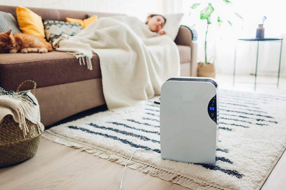 13 Reasons Why You Should Have An Air Purifier For Your Home