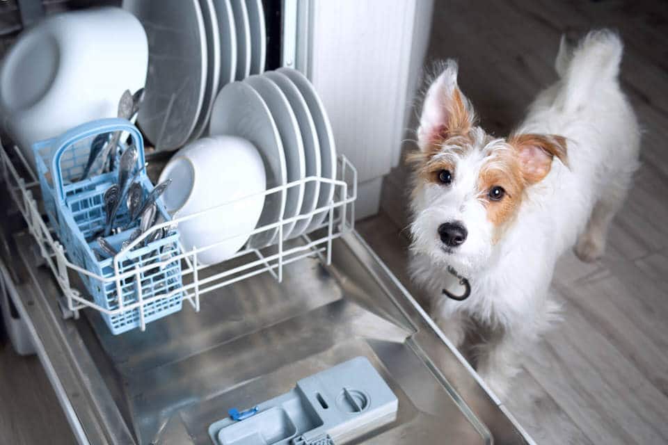 How To Clean A Dirty Dishwasher [It Needs To Be Washed, Too