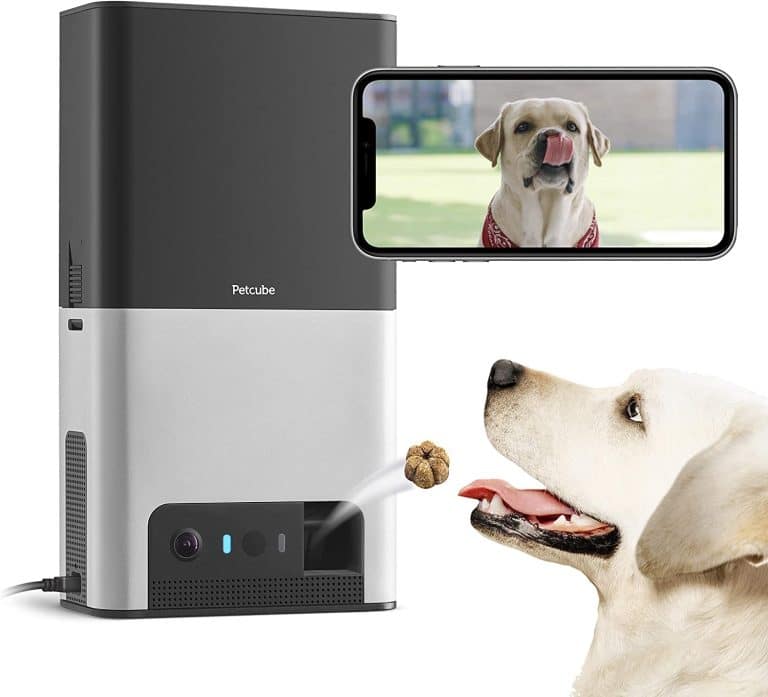 The 9 Best Dog Cameras To Watch Your Pets While You Are Away