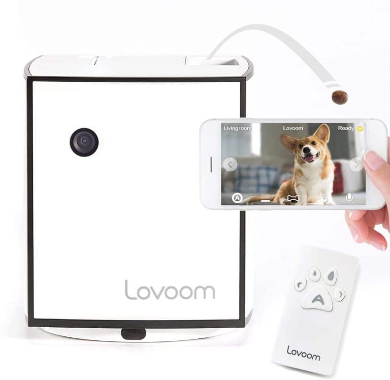 The 9 Best Dog Cameras To Watch Your Pets While You Are Away ChatterSource