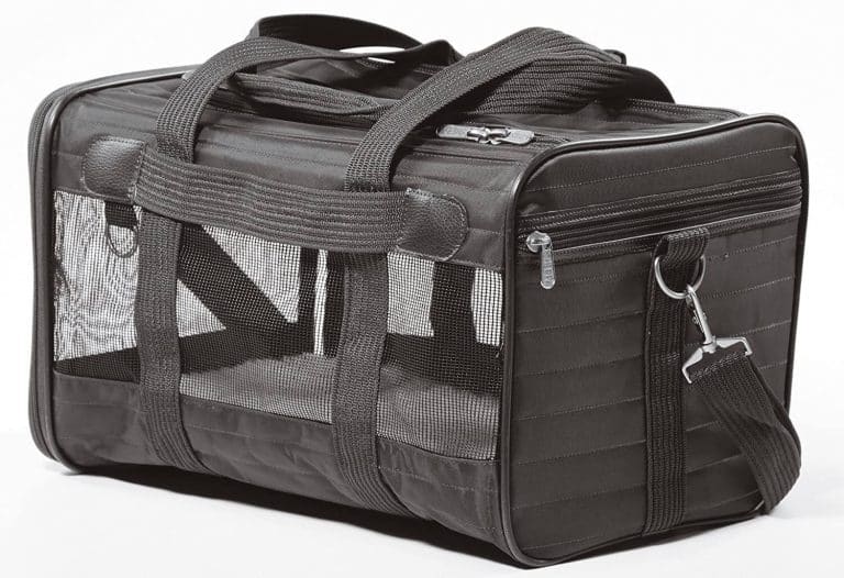 The 13 Best Cat Carriers [For All Your Travel Needs] ChatterSource