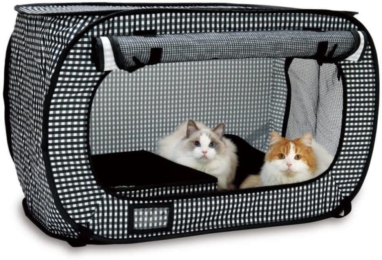 The 13 Best Cat Carriers [For All Your Travel Needs] ChatterSource
