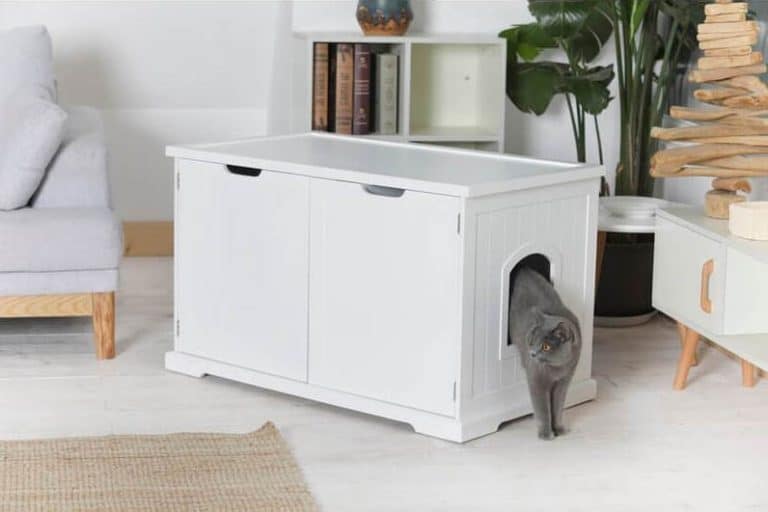 The 12 Best Cat Litter Box Enclosures [That Look Great Too]