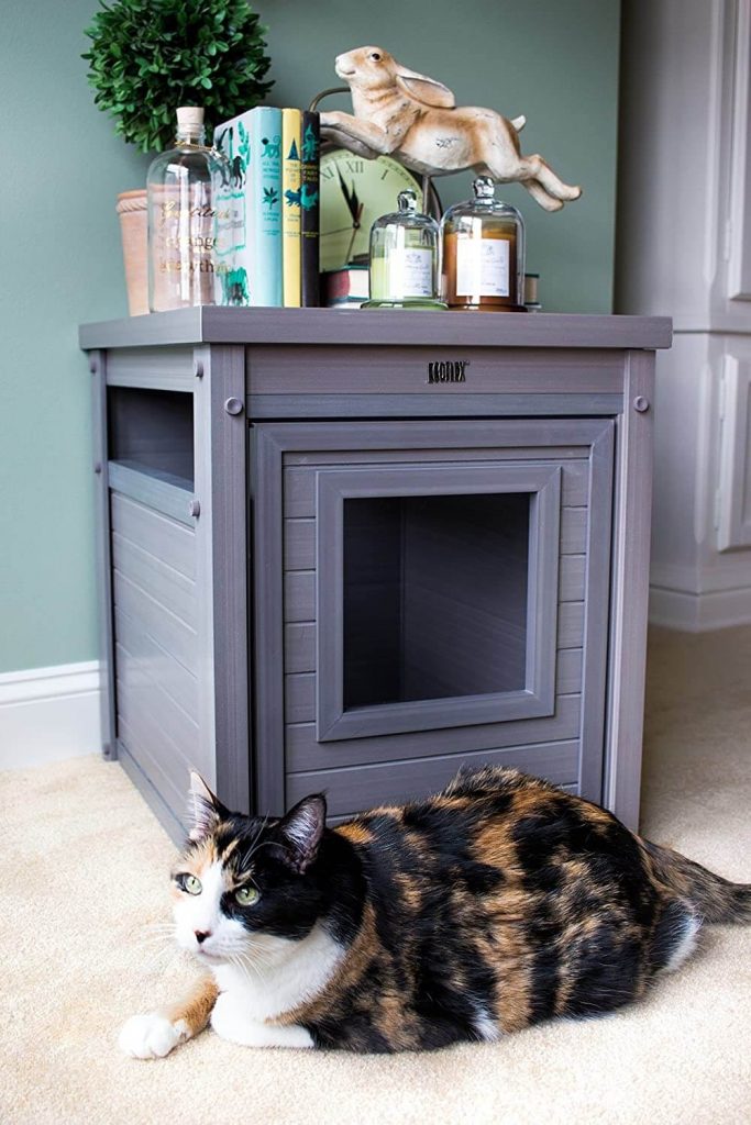 The 12 Best Cat Litter Box Enclosures [That Look Great Too]