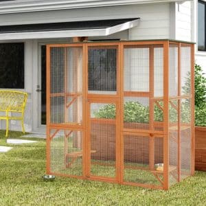 outdoor cat play yard