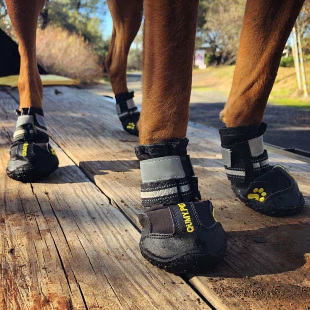 The 7 Best Dog Shoes/Boots For Hot Pavement [For Summertime Walks] ChatterSource