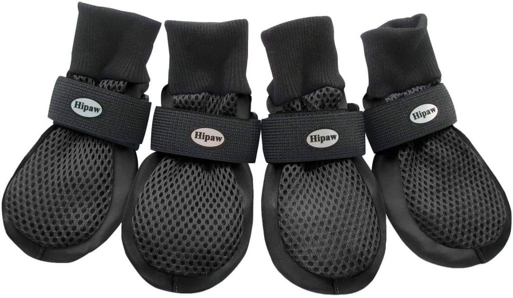 The 7 Best Dog Shoes/Boots For Hot Pavement [For Summertime Walks