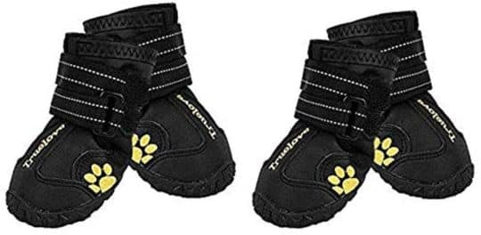Expawlorer Dog Boots