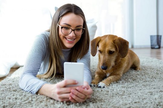 Woman video chatting next to a dog with his owners