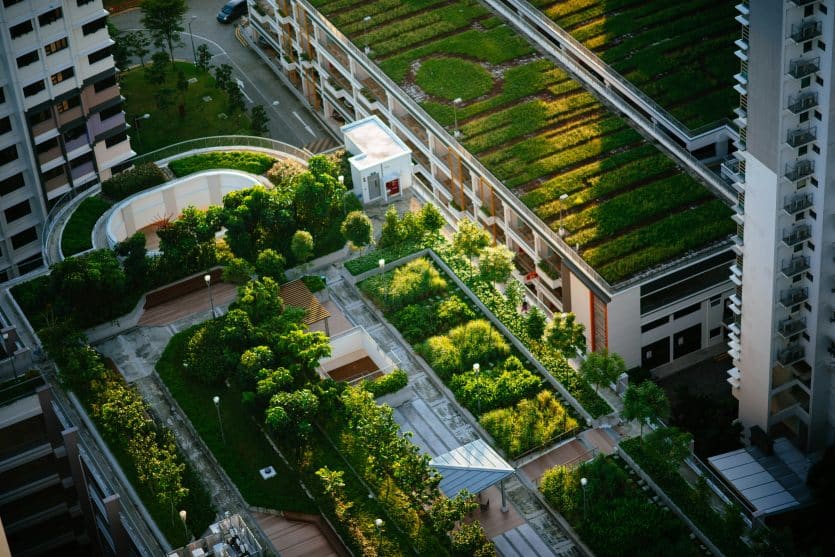 top view of building with trees and green roof
