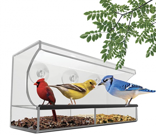 Window Bird Feeders 