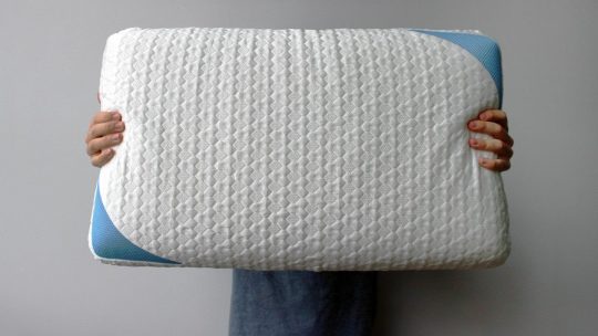 The Bear Pillow