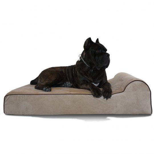 The Original Bully Bed 