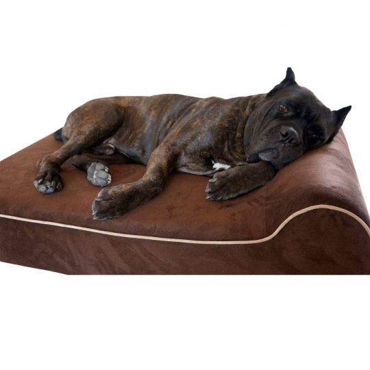 Infrared Bully Bed