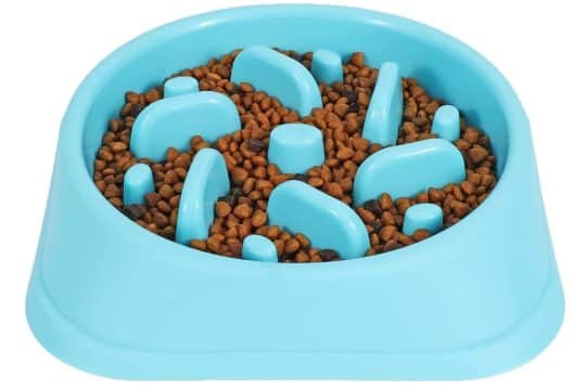 jasgood dog bowl