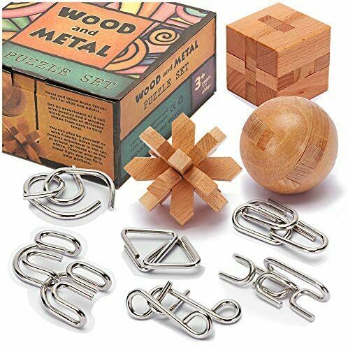 LESONG Brain Teasers Metal and Wooden Puzzles for Kids and Adults 9 Pack